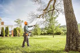 Best Leaf Removal  in Wichita Falls, TX